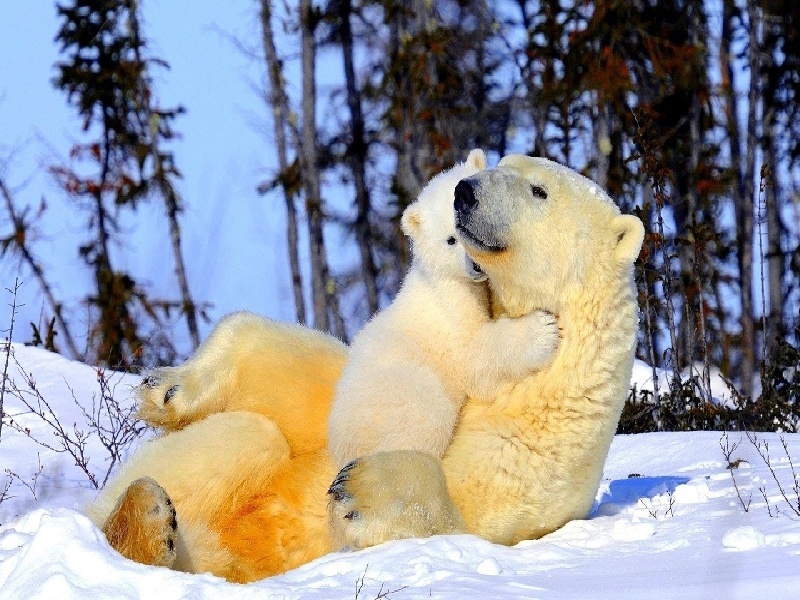 试管就是怕打针（厦门174试管几代）